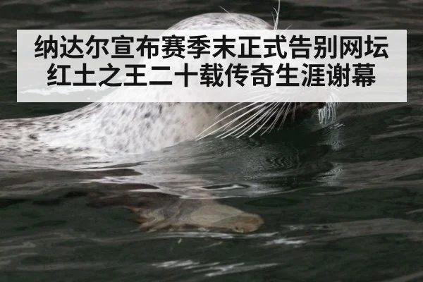 纳达尔宣布赛季末正式告别网坛 红土之王二十载传奇生涯谢幕