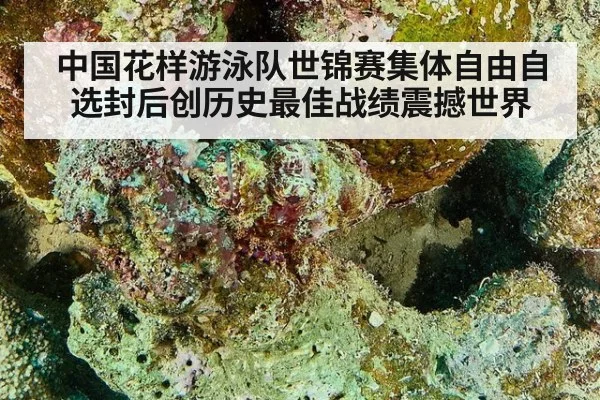 中国花样游泳队世锦赛集体自由自选封后创历史最佳战绩震撼世界