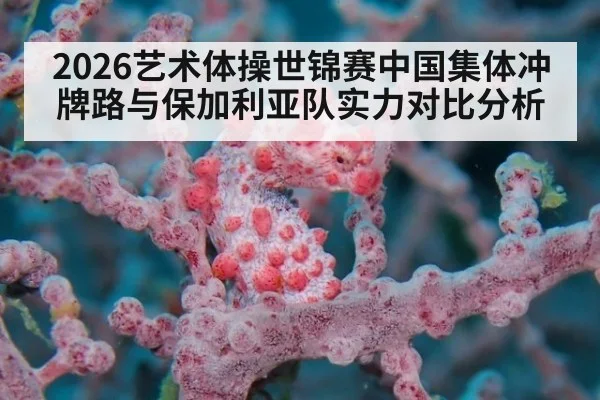 2026艺术体操世锦赛中国集体冲牌路与保加利亚队实力对比分析